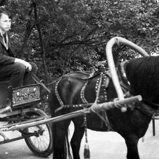 Man and children in a carriage being pulled by a horse.