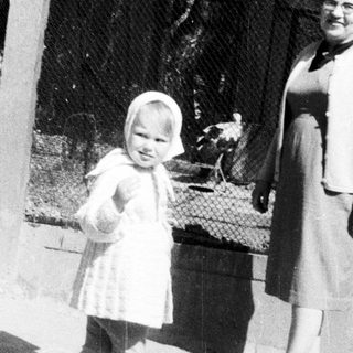 Child stands near animal enclosure with a woman.