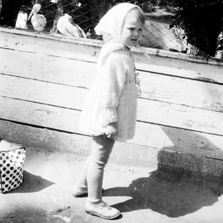 Here's a brief summary of the image: Child stands near a fence with birds in the background.