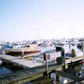 Marina with numerous boats docked, a car, and a sign.