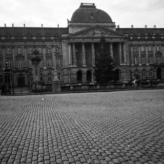 Palace facade with cobblestone plaza and a decorated tree.