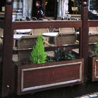 Exterior of a restaurant with a decorated Christmas tree.