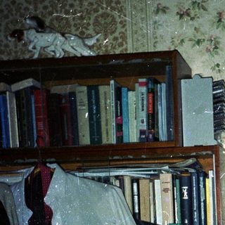 Woman stands in a room with books and clutter.