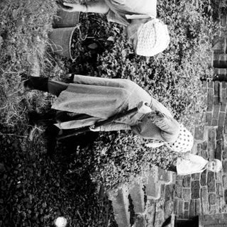 People tending a garden behind a fence.