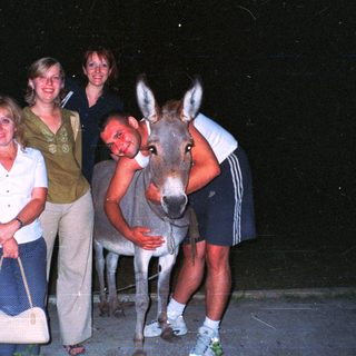 Here's a brief summary of the image: Three people pose with a donkey in a nighttime setting.