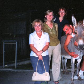 Here's a brief summary of the image: Three people pose with a donkey in a nighttime setting.
