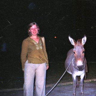 Woman stands next to a donkey at night.