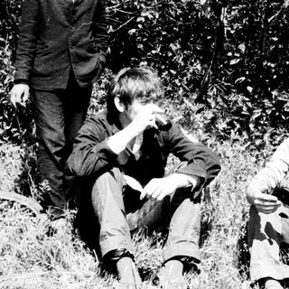 Here's a brief summary of the image: Three young men seated/standing in tall grass.