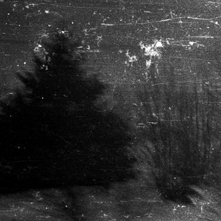 Dark, grainy image; trees and a tall, indistinct structure.