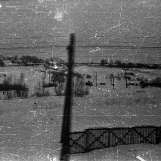 Winter landscape with a fence, power lines, and trees.