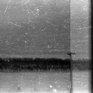 Distorted landscape with trees and sky, heavily scratched film.