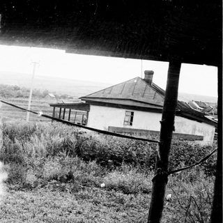 Overgrown field with a house and utility pole.