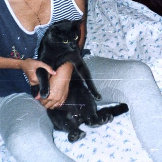 Woman sits on a bed holding a black cat.