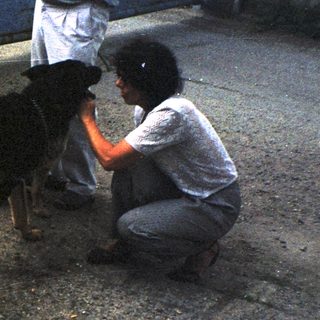 Person crouches to interact with two dogs outside.