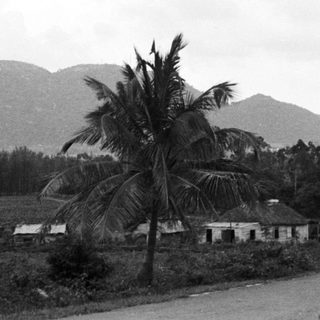 Rural scene with palm tree, houses, and distant mountains.