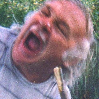 Man on ground, playfully interacting with a German Shepherd.