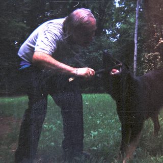 Man examining a dog in a grassy, wooded area.