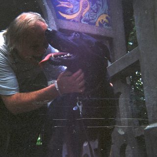 Man observing a reptile through an enclosure.