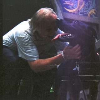 Man observing a reptile through an enclosure.