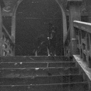 Stone steps with a railing lead into a dark archway.