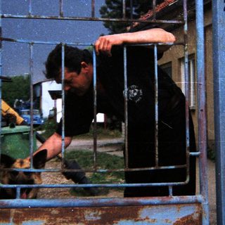 Man pets dog through a metal gate.