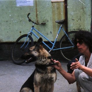 Woman crouches near a German Shepherd dog outdoors.