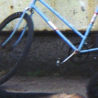 Man holding a dog near a building and bicycle.