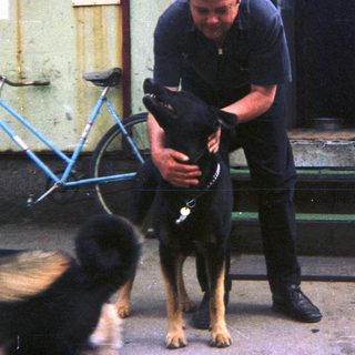 Man holding a dog near a building and bicycle.