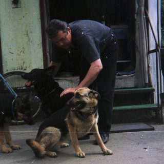 Man pets three dogs near a building and bicycle.