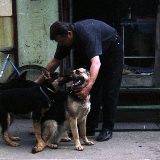 Man interacts with two dogs outside a building.