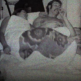 Man and dogs resting on a bed in a room.