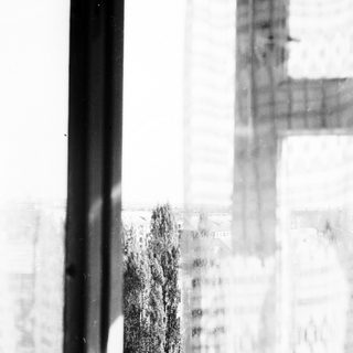 Black framed window overlooking buildings and a tree.