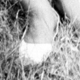 Woman seated outdoors, holding pine needles, in a grassy area.