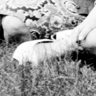 Two women sit in grass, surrounded by trees.