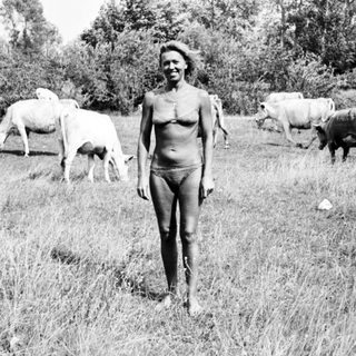 Nude woman stands in a field with grazing cattle.
