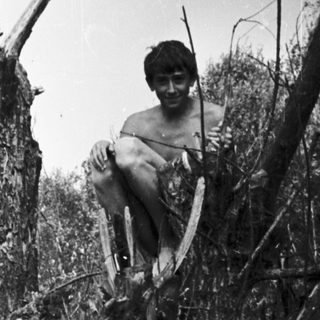 Man sits atop a weathered tree in a wooded area.
