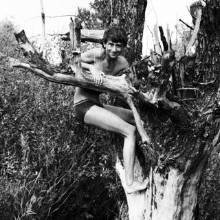 Man sits on a tree branch in a natural setting.