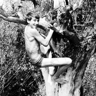 Boy clings to a tree branch in a rural setting.