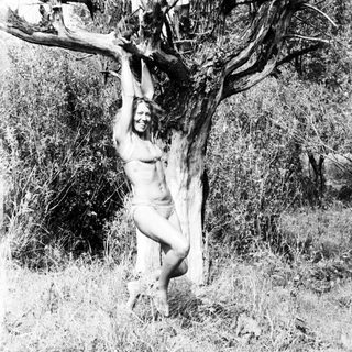 Woman hanging from tree branch in a natural setting.