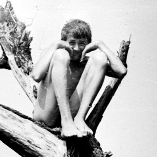 Boy sits perched on a tree branch in a landscape.