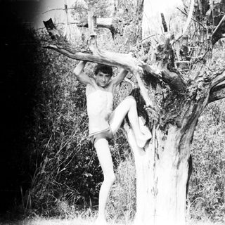 Man hangs from a tree branch in a natural setting.