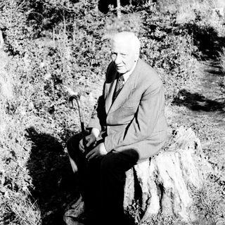 Elderly man sits on a stump with a cane.