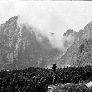 Monk stands before a mountain range shrouded in mist.
