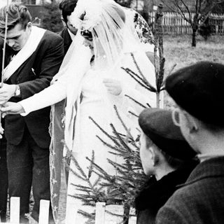Couple plants a tree with dignitaries in a garden.