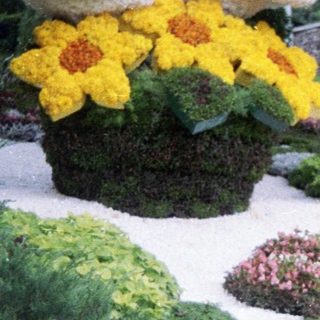 Floral display of a dove with a woman nearby.