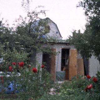 Backyard garden with a pool and house visible.