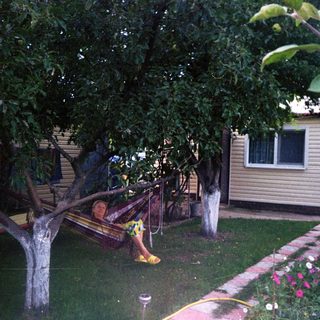 Person relaxes in a hammock under a tree, near a house.