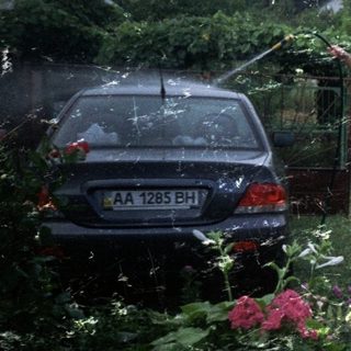 Man washing a car in a garden, seen through curtains.