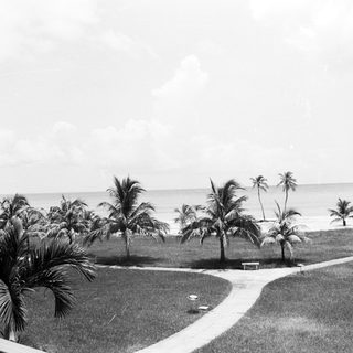 Palm trees, pathway, and ocean view in black and white.
