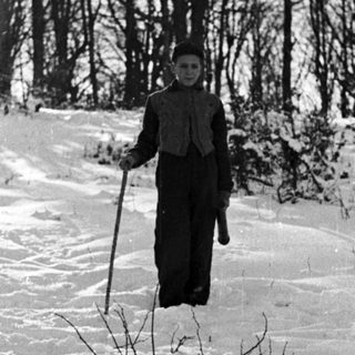 Man with a stick walks through a snowy, wooded area.
